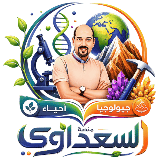 الأستاذ / محمود السعداوي